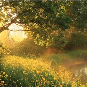 Gold Toe Socks.  Pack of 3.  See other designs available.  Bundle and save!